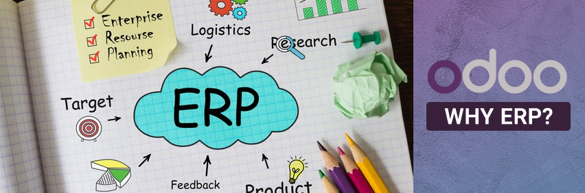 how does an erp system work?