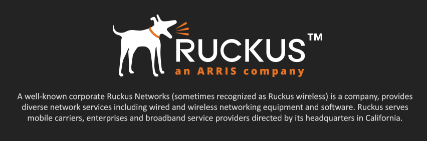 network solutions specialist wireless networking equipment