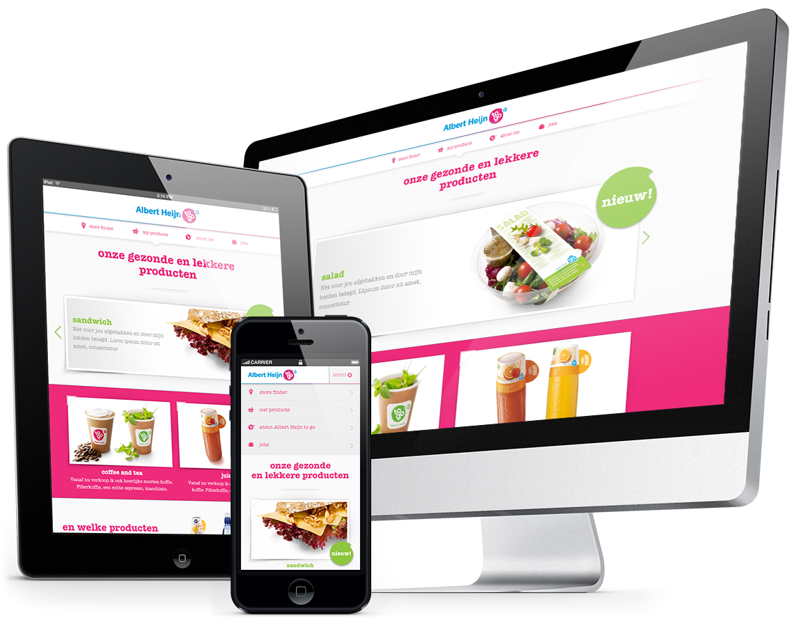 world wide web development design developers professionals